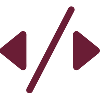 Feature icon